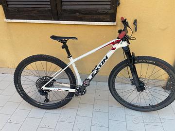 Mtb carbonio 29 front mountain bike