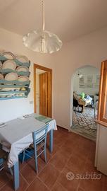 Casa e terreno