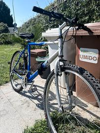 bicicletta bianchi