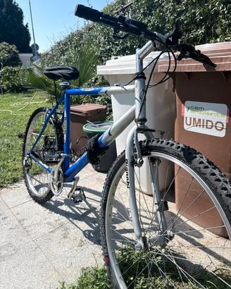 bicicletta bianchi