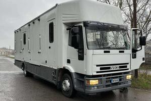 Camion trasporto cavalli Iveco eurocargo