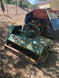 Francizolla e Trince