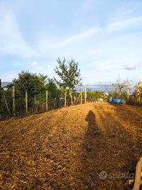 Terreno panoramico Bacoli 400 mq 