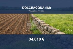 Immobile in asta di 4326 m² a Dolceacqua