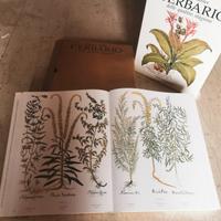 L' ERBARIO delle quattro stagioni  Basilius Besler