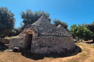 Trulli da ristrutturare con terreno di 9.677 mq