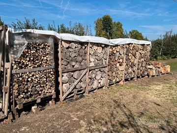legna da ardere stagionata