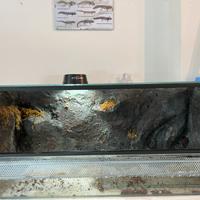 Terrari per rettili e anfibi (SENZA ARREDAMENTO)