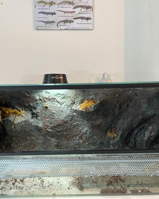 Terrari per rettili e anfibi (SENZA ARREDAMENTO)