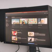 Eizo ColorEdge CG241W – Monitor 24.1" Professional