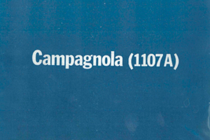 Manuale officina Fiat Campagnola 1107 benzina