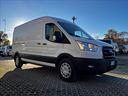 ford-transit