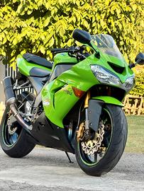 Ninja 1000 