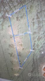 Terreno edificabile