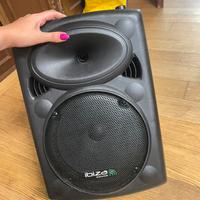 Cassa con microfoni 500W