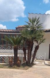 Villa indipendente