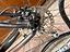 Immagine 5