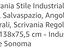 Immagine 5