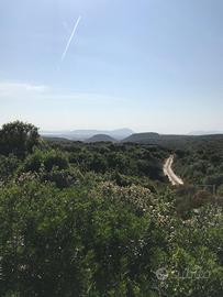 Putifigari terreno agricolo 86 ha