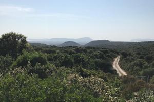 Putifigari terreno agricolo 86 ha