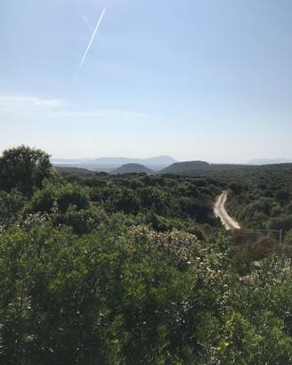 Putifigari terreno agricolo 86 ha