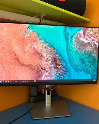 DELL Monitor - webcam microfono speaker integrati
