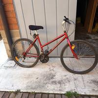 MTB con ruote del 26'