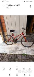 MTB con ruote del 26'