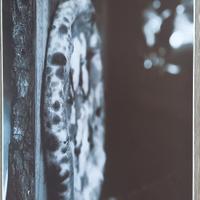 stampa pizza bianco e nero