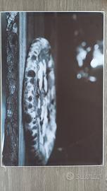 stampa pizza bianco e nero