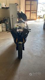 Yamaha R6 2009 Pronto Pista