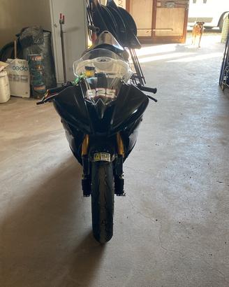 Yamaha R6 2009 Pronto Pista
