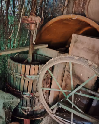 materiale per vinificazione 