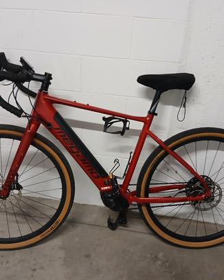 Gravel e bike elettrica 