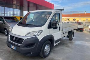 Fiat Ducato cassonato