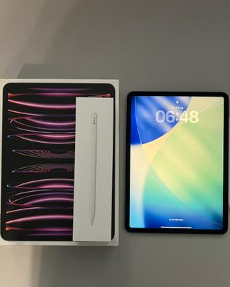 Ipad Pro 11” M2 + Apple pencil 2