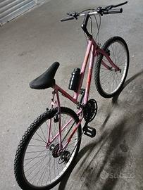 Bicicletta 26 