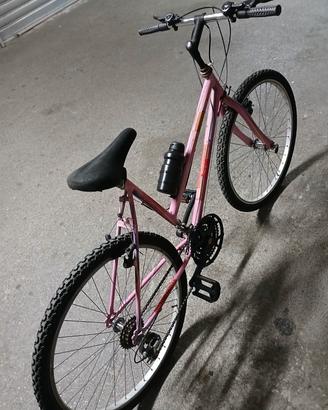 Bicicletta 26 