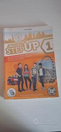 Step up 1
