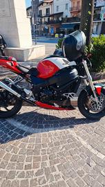 Honda CBR xx 1100 storica 