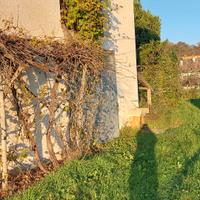 Rustico Molevana di Travesio