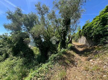 TER. AGRICOLO A LAVAGNA