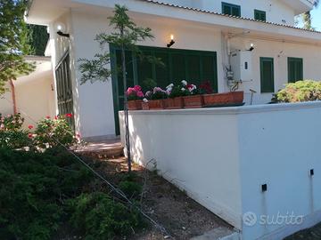 Talsano tri/bilocale in villa x miilitari/trasfert
