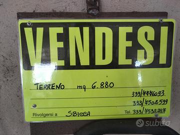Terreno agricolo