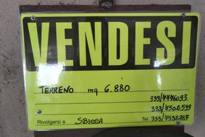 Terreno agricolo