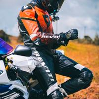 Revit Quantum 48   Traforata