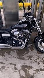 Harley Davidson fatbob cc 1584