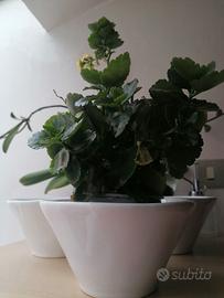 3 vasi coprivaso di ceramica 