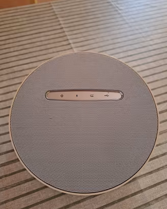 Cassa bluetooth LG