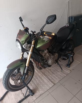 Honda hornet 